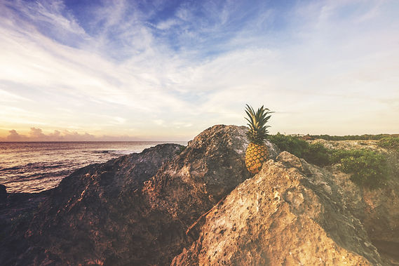 Image by Pineapple Supply Co.