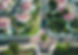 Aerial view of a roundabout within a housing development.