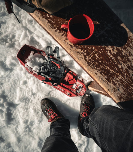 Snowshoes for a winter hike in the Alps