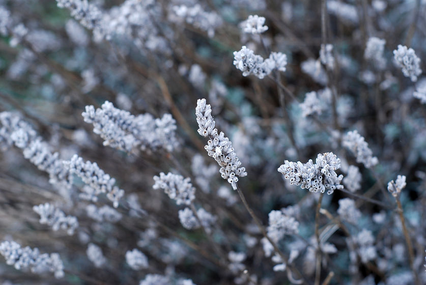 Image by Gemma Evans