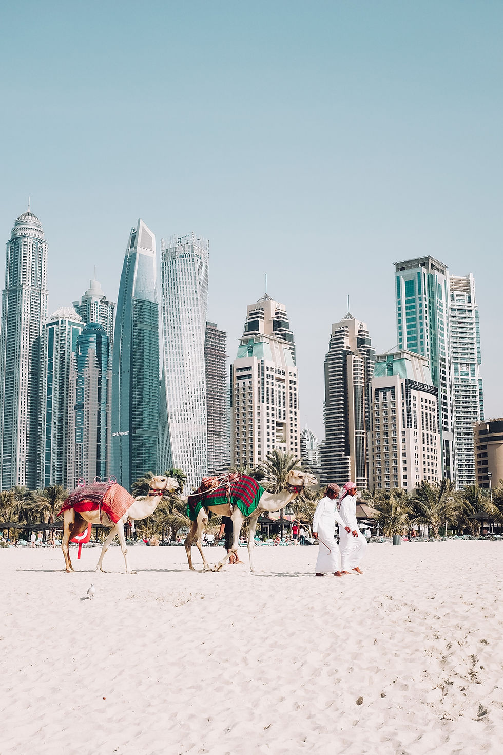 ILTM Arabia