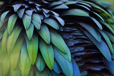Image by Alexander Sinn