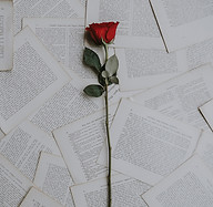 Image by Annie Spratt