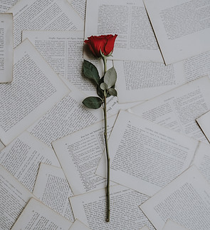 Image by Annie Spratt