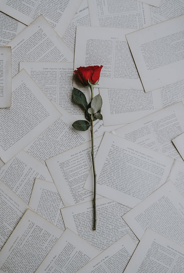 Image by Annie Spratt