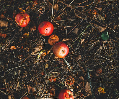 Sheen's Botanicals Natural ingredients are biodegradable