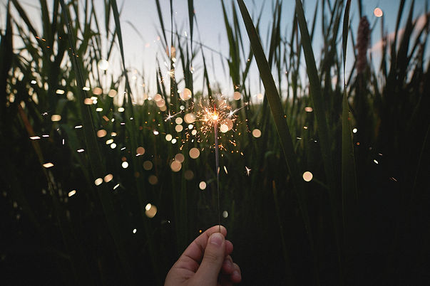 Image by Kristopher Roller