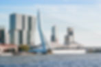 SDG's & Policies at the Rotterdam Municipality
