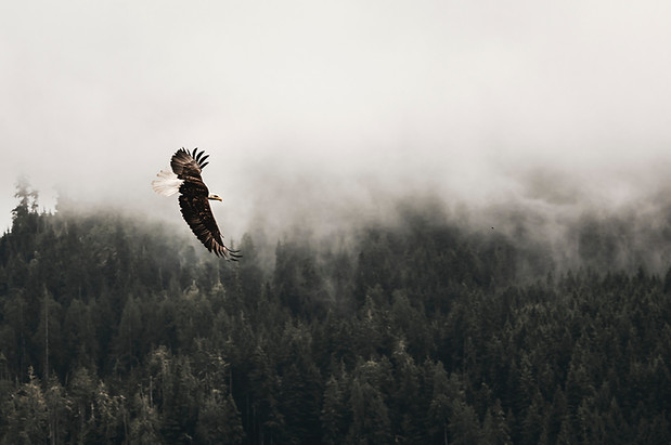 Image by Kea Mowat