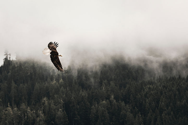 Image by Kea Mowat