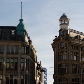 Image by Dario Brönnimann