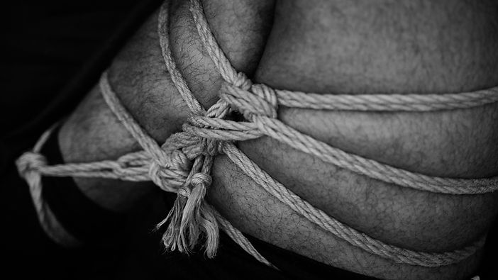 Image by Warm Orange