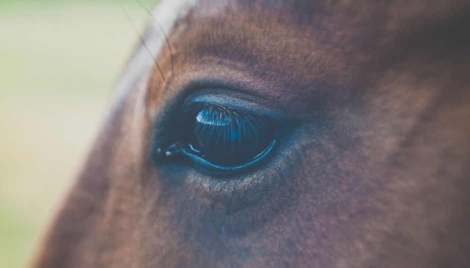 Image by Sarah W