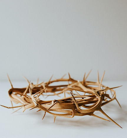 Image by Christi Marcheschi