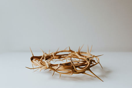 Image by Christi Marcheschi