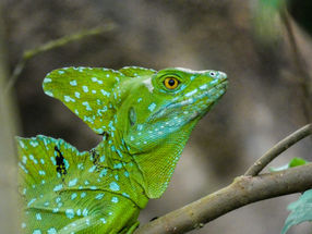 Image by Bas de Korte