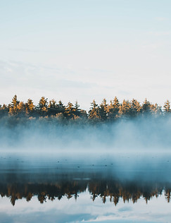 Image by Matthieu Pétiard