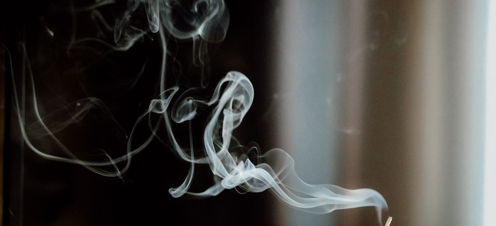 Image by Daria Rom