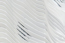Image de Christian Perner