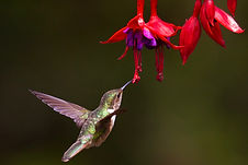 Image by James Wainscoat