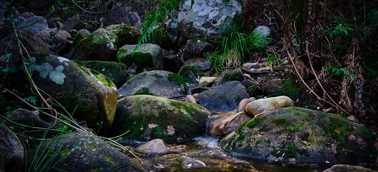 Image by Chris Rhoads