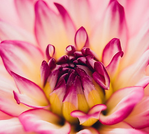 Image by Aaron Burden