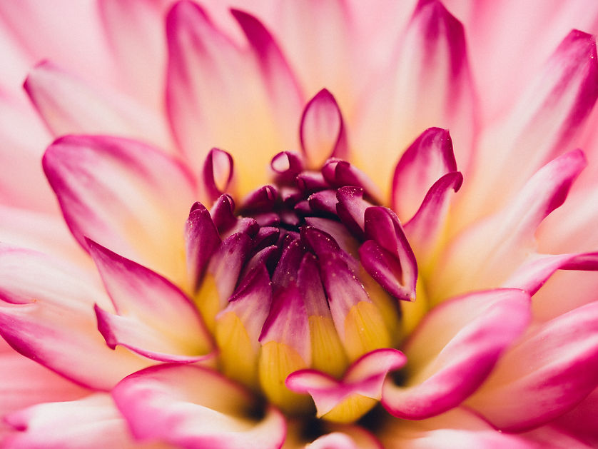 Image de Aaron Burden