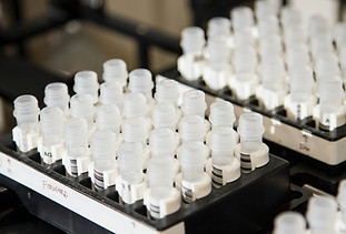 Image by National Cancer Institute