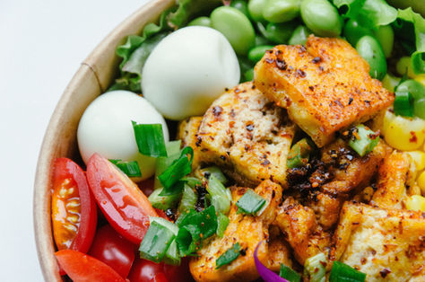Plant-Based Protein Sources