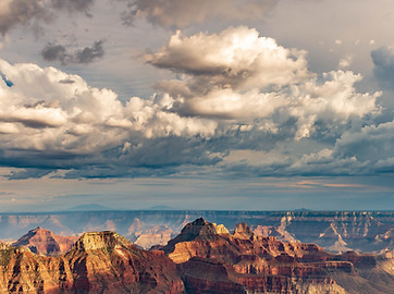 Image by Stephen Walker