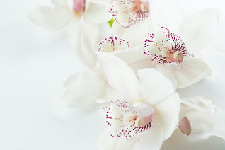 Image by Joanna Kosinska