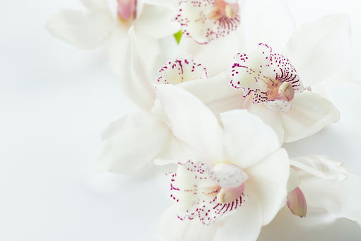 Image by Joanna Kosinska