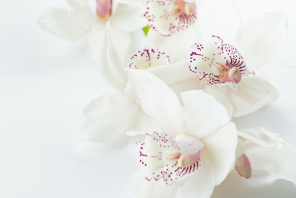 Image by Joanna Kosinska