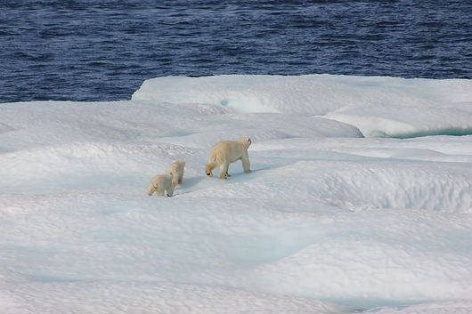 Image by NOAA
