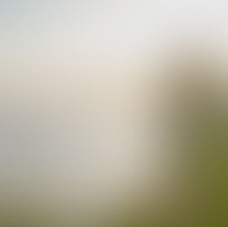 2 Stress Triggers you want to find out more about