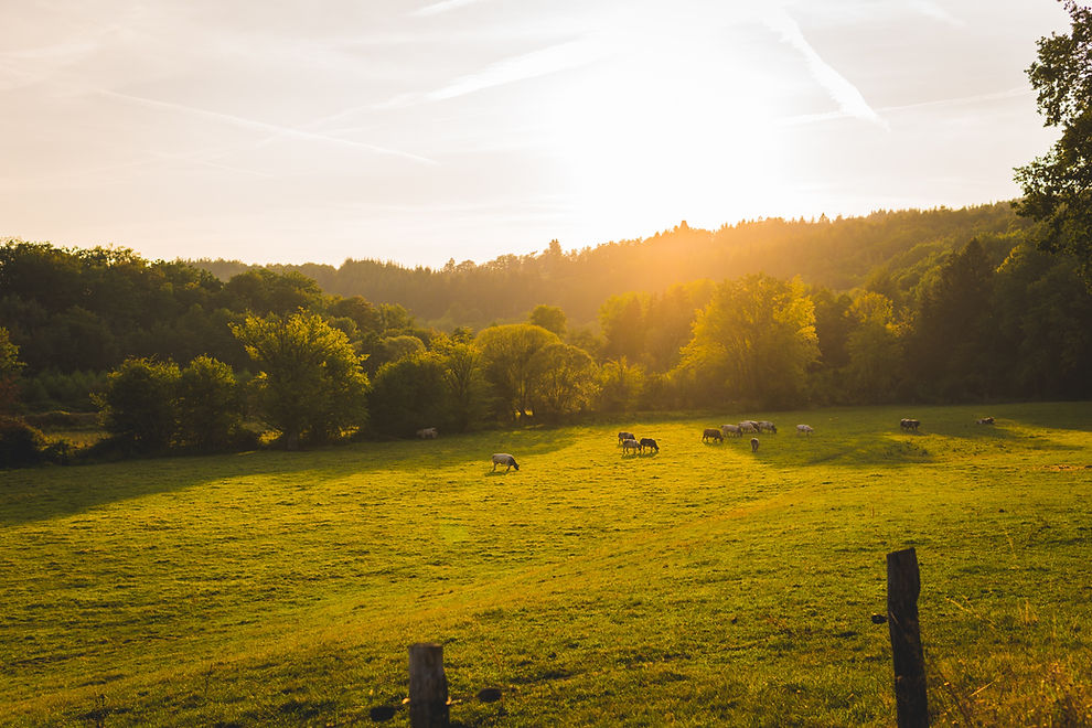 Ardennen wandelen en kajakken