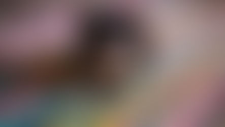 Raising Fido: housetraining with structured alone time