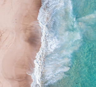 Image by Samuel Scrimshaw