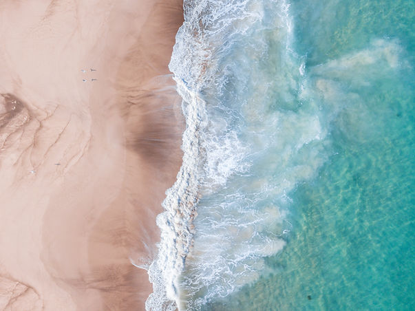 Image by Samuel Scrimshaw