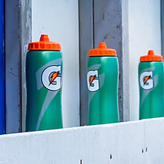 GATORADE BOTTLE 20oz
