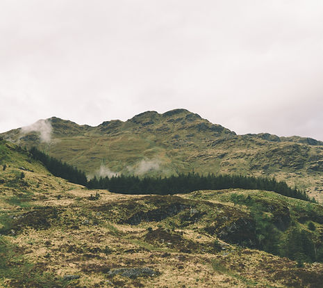 Image by Robert Haverly