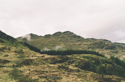 rural outlook