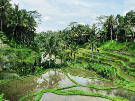Finding Housing in Bali as an Expat: Where and How
