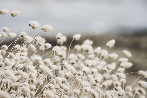Image by Guillaume de Germain