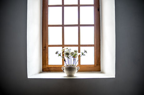 Window with plant on the window sill