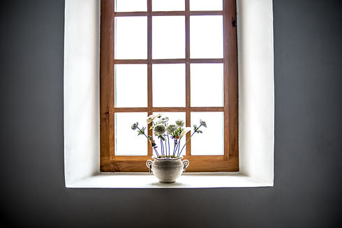 Window with plant on the window sill