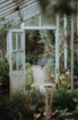 Image by Annie Spratt