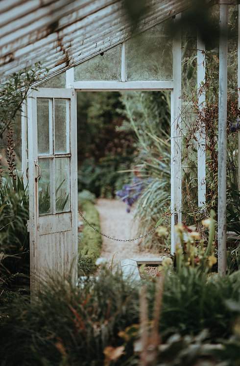 Image by Annie Spratt