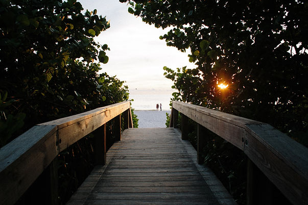 Image by Joseph Biscocho