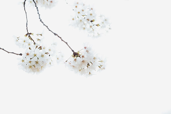 Image by Masaaki Komori